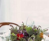 Herb centerpiece