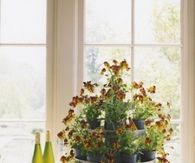 Galvanized tiered floral display