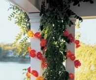 Silk flower party lights