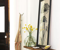 Stylish shelves