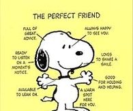 The Perfect Friend