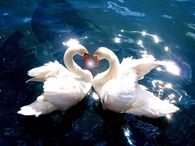 Mates for Life