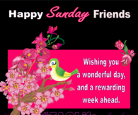 Happy Sunday Friends