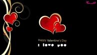 Happy Valentines Day, i love you