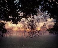 Foggy Sunrise in London