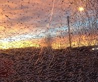 View through Cracks of a Car Window-Colorado