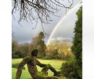 Beautiful Rainbow in a Park