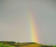 Tuscany Landscape