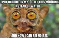 redbull in my coffee