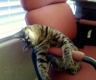 its Monday again