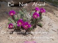 Be Not Afraid