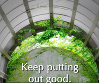 Keep putting out good