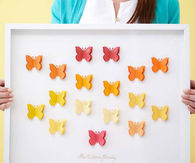 Framed butterfly family tree