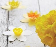 Daffodil Candy cups