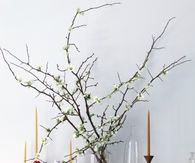 Candle holder