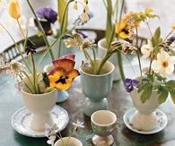 Spring flowers in egg cup vases