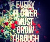 Every flower must grow though dirt