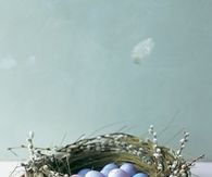 Birds nest with Quince Branches