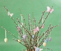 Pussy willow arrangement