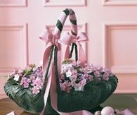 African violets basket