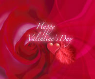 Happy Valentines Day