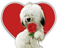 Happy Valentine's Day