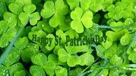 Happy St Patricks Day