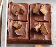 Peanut butter brownies