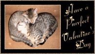 Have a perfect Valentines day