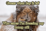 Guess what day it is