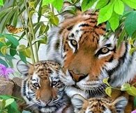 Family Portrait!!   