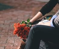 Roses for my love