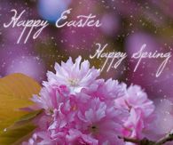 Happy Easter, Happy Spring