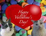 Happy Valentines Day