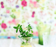Fresh lemonade