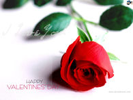 Happy Valentines Day
