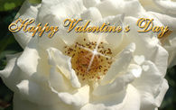 Happy Valentines Day