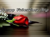 Happy Valentines Day