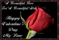 A beautiful rose for a beautiful girl
