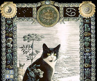 Cat Illustration