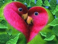 "Love Birds!!"