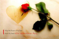 May the flowers of my heart....