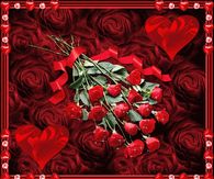 Red Roses for Valentine's Day