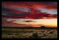 Desert Sunset