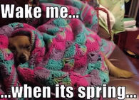 Wake me when its spring