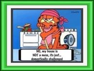 domestically challenged