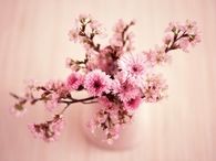 Pink Bouquet