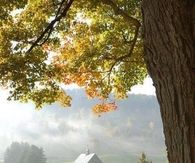 Country House