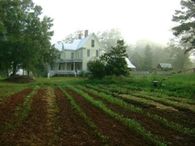 Garden of Country Farmhouse