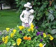 Pansies Planted in Birdbath